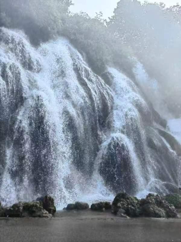 虫虫助手下载